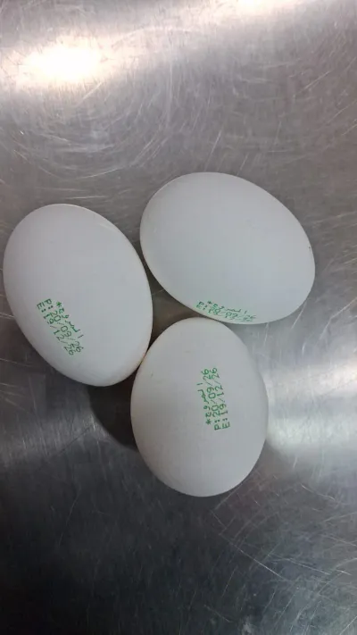 3 Eggs Saudi